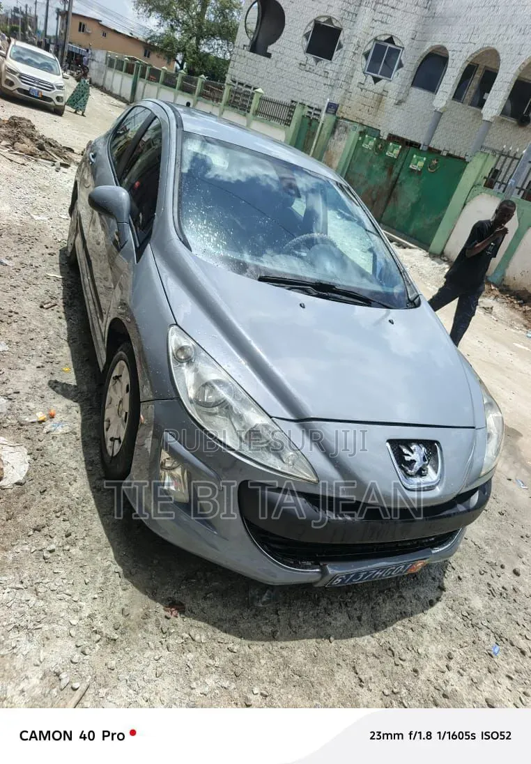Peugeot 308 2006 Autre