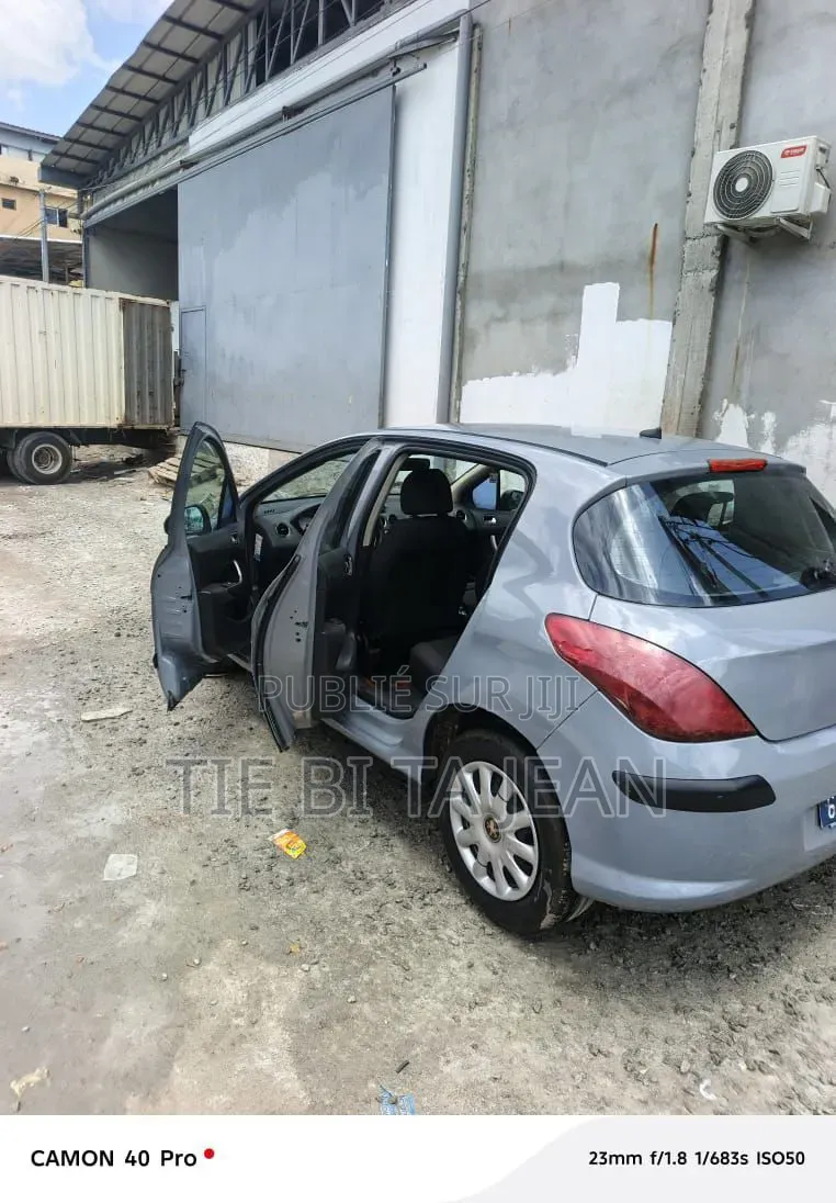 Peugeot 308 2006 Autre