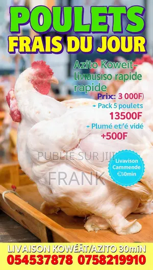 Vente De Poulet De Chair