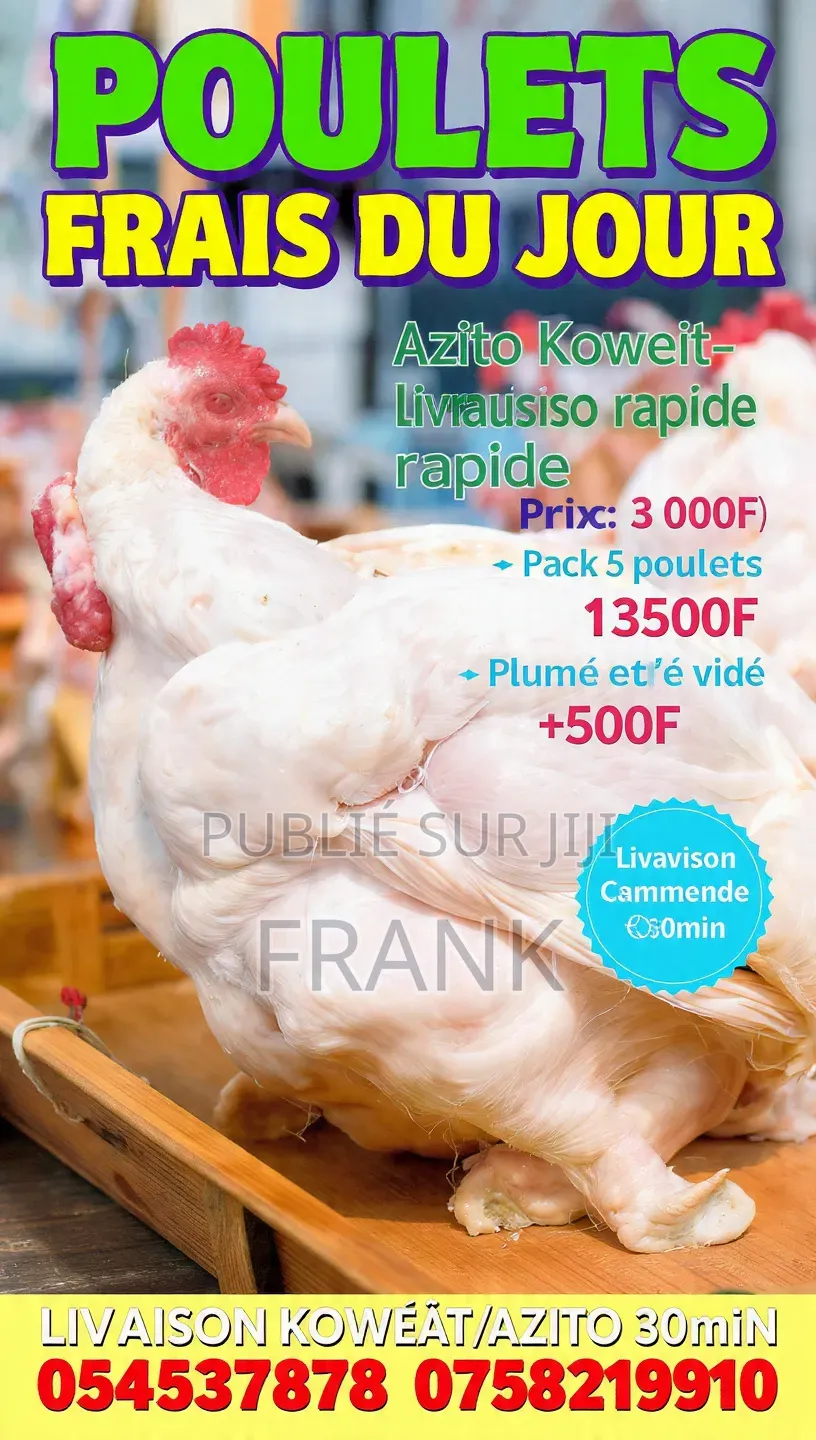 Vente De Poulet De Chair