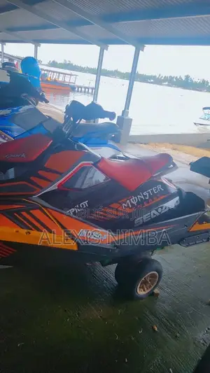 Jet Ski Spark Année 2019