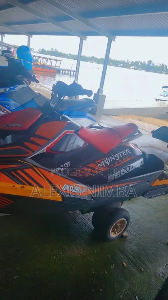 Jet Ski Spark Année 2019