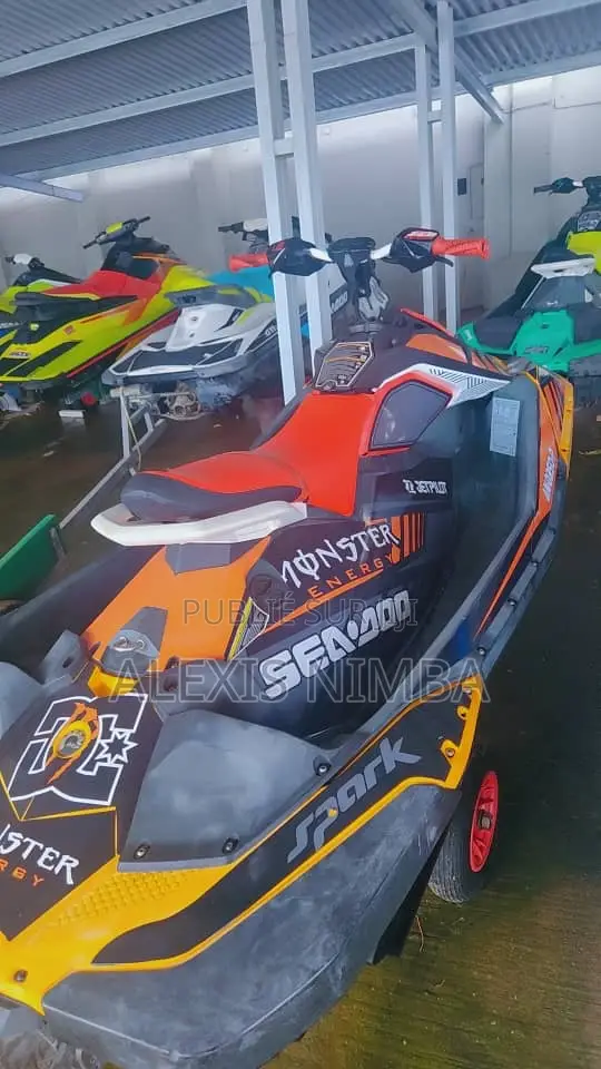 Jet Ski Spark Année 2019