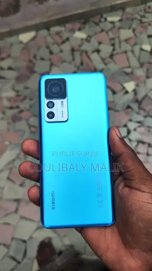 Xiaomi 12T Pro 256 GB Bleu