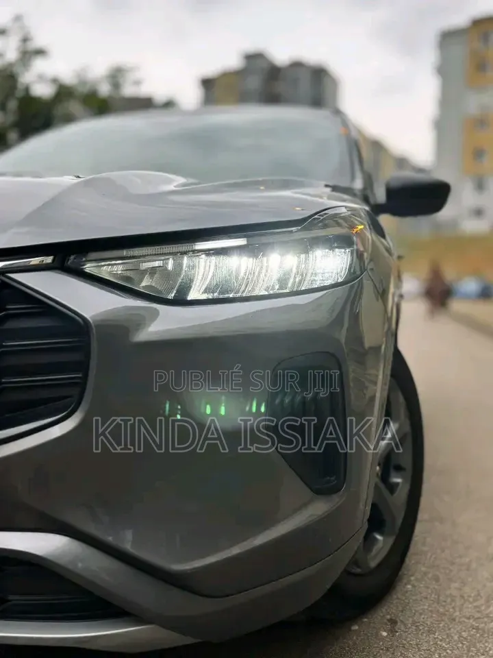 Ford Escape ST-Line 2023 Gris