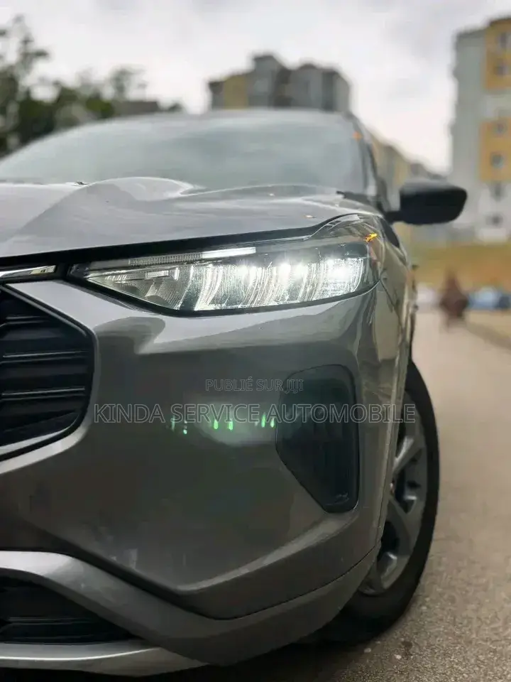 Ford Escape ST-Line 2023 Gris