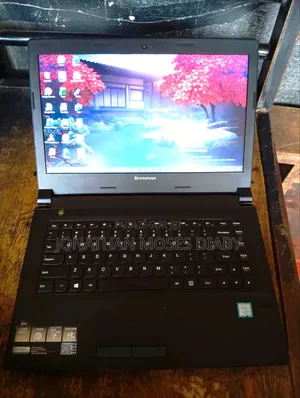 Ordinateur portable Lenovo Autre 8GB Intel Core i5 HDD 500GB