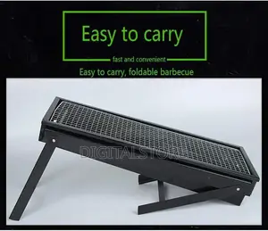 Barbecue Au Charbon De Bois