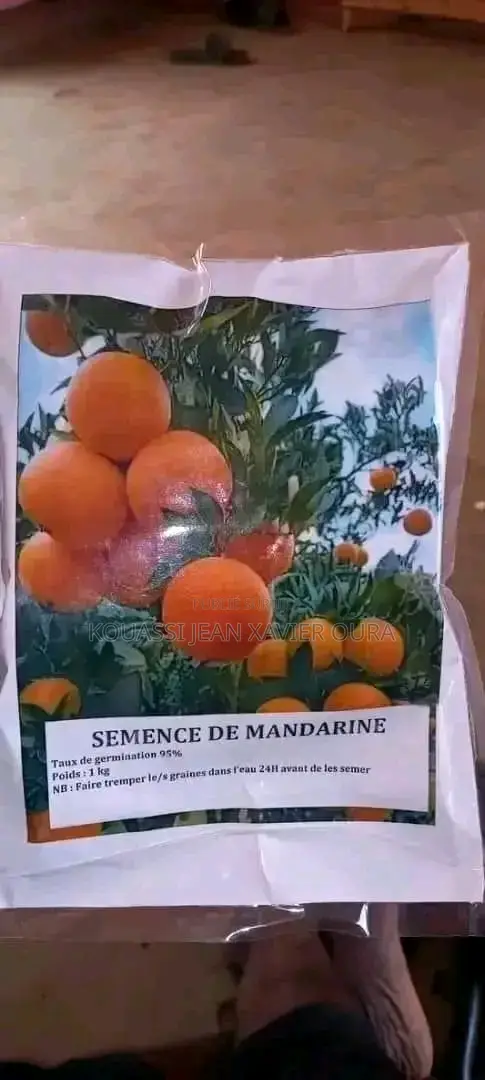 Vente De Pépinière D’Arbres Fruitiers