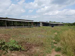 Vente De Ferme À Toumodi