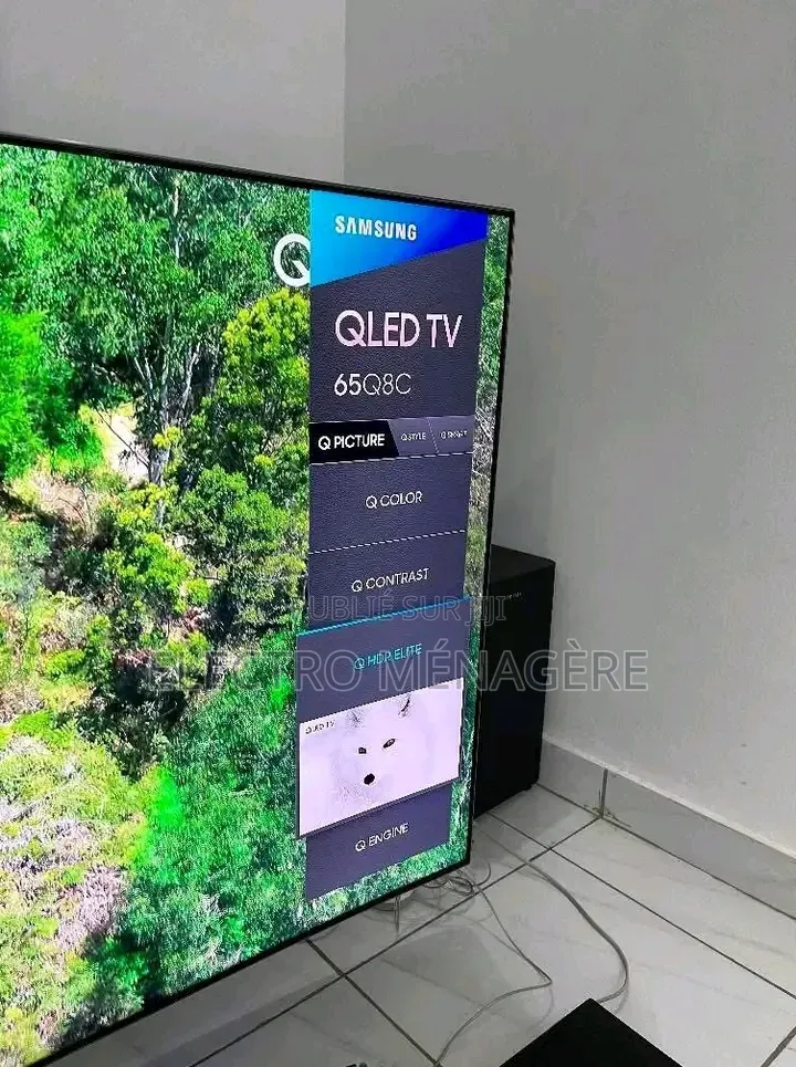 Télévision