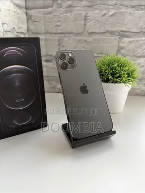 Nouveau Apple iPhone 12 Pro 256 GB Argenté