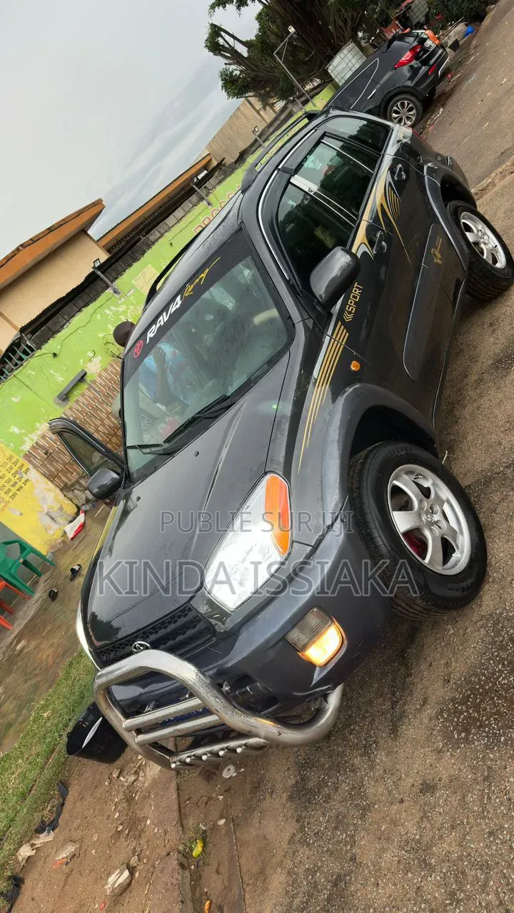 Toyota RAV4 2.0 4x4 2006 Gris