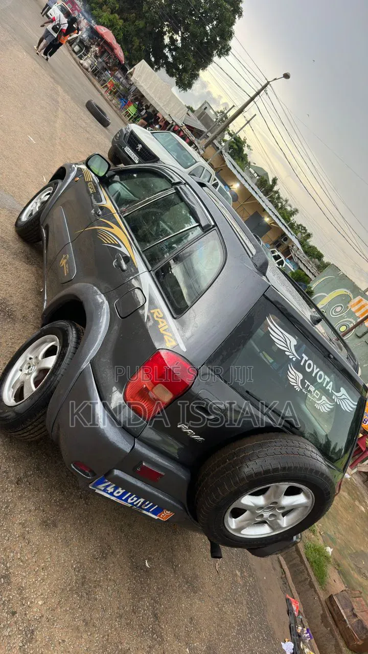 Toyota RAV4 2.0 4x4 2006 Gris