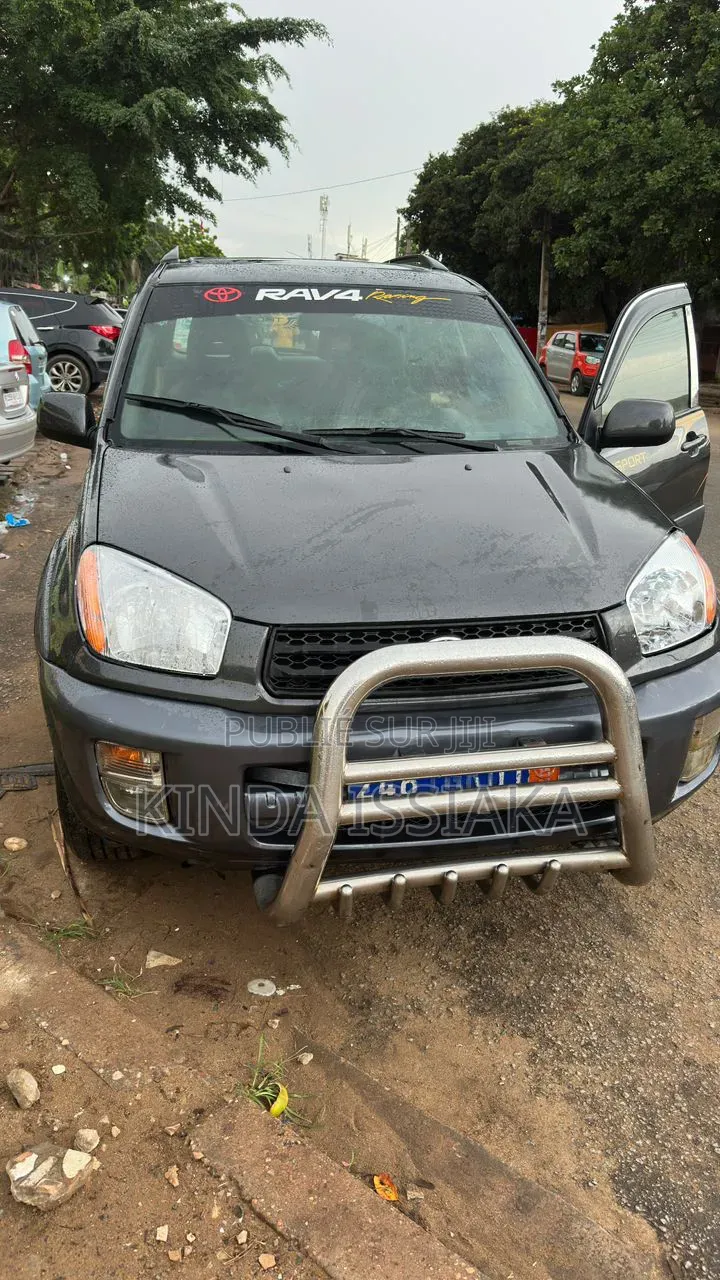 Toyota RAV4 2.0 4x4 2006 Gris