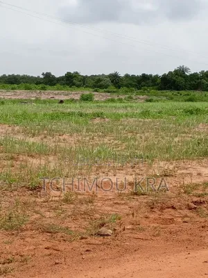 Vente 8 Lots 500m2 Dabou À L’Entrée