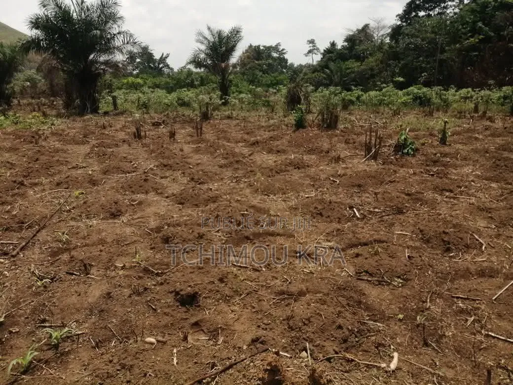 Vente 8 Terrains 500m2 Songon Abiaté
