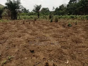 Vente 8 Terrains 500m2 Songon Abiaté