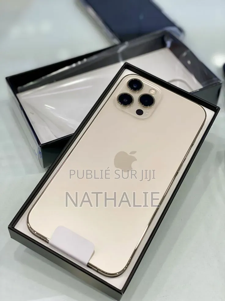 Nouveau Apple iPhone 12 Pro Max 256 GB Gris