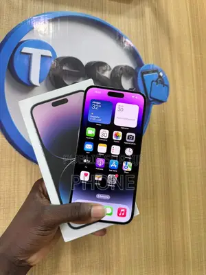Apple iPhone 14 Pro Max 256 GB Autre