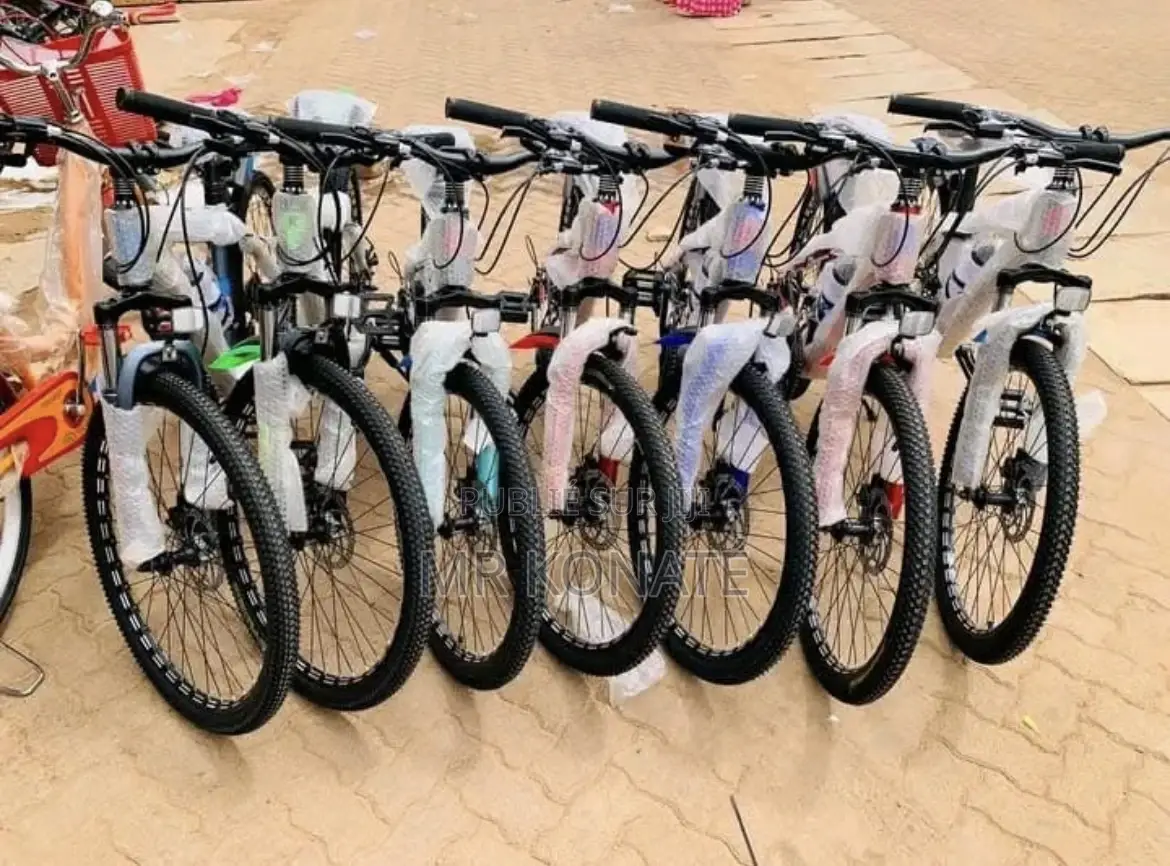 Moto Électrique