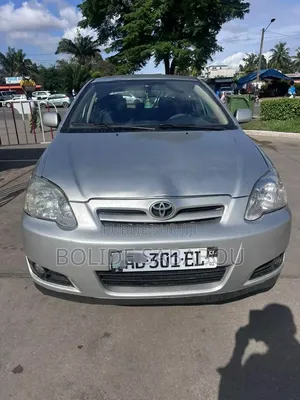 Toyota Corolla Break 2003 Gris
