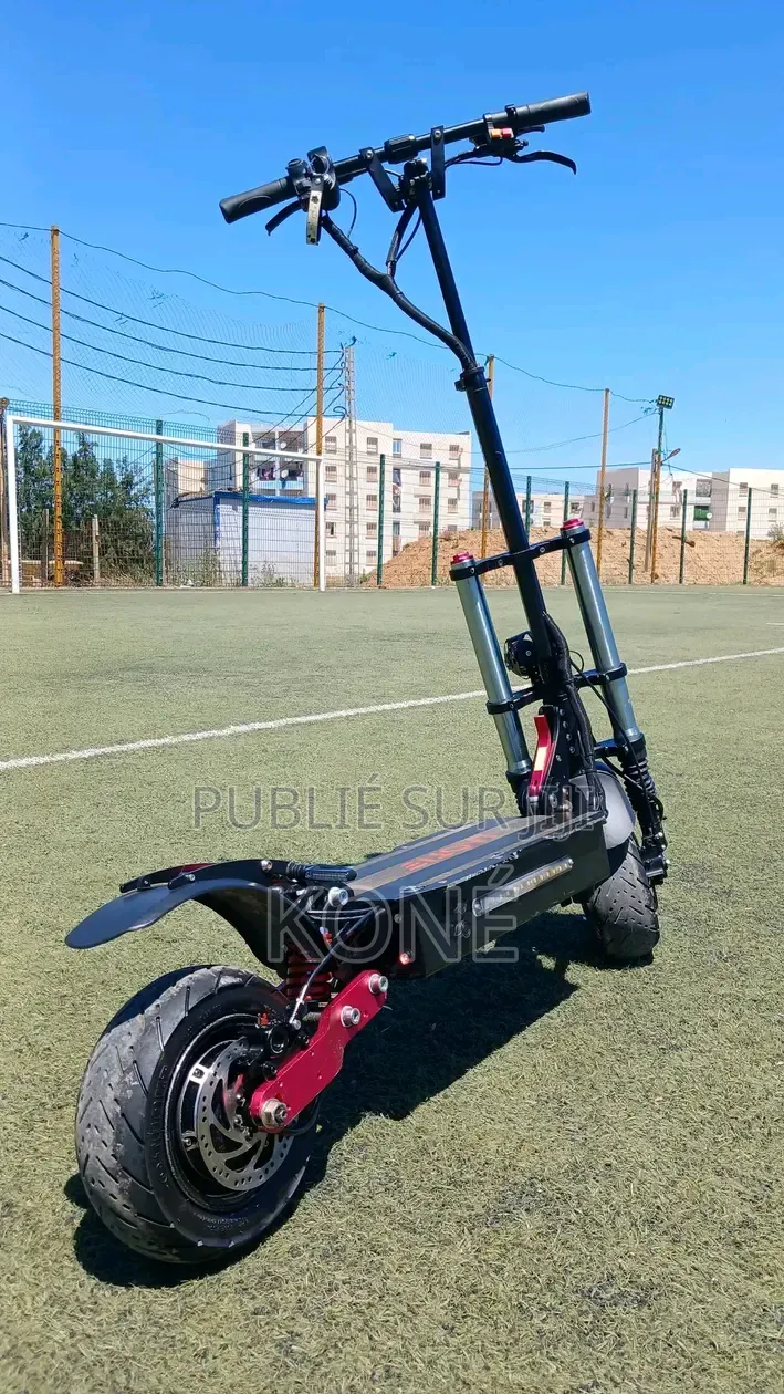 Trottinette Électrique