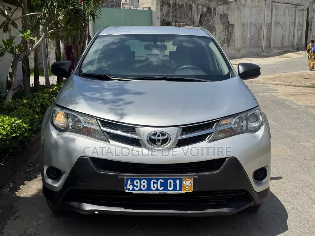 Toyota RAV4 2013 Gris