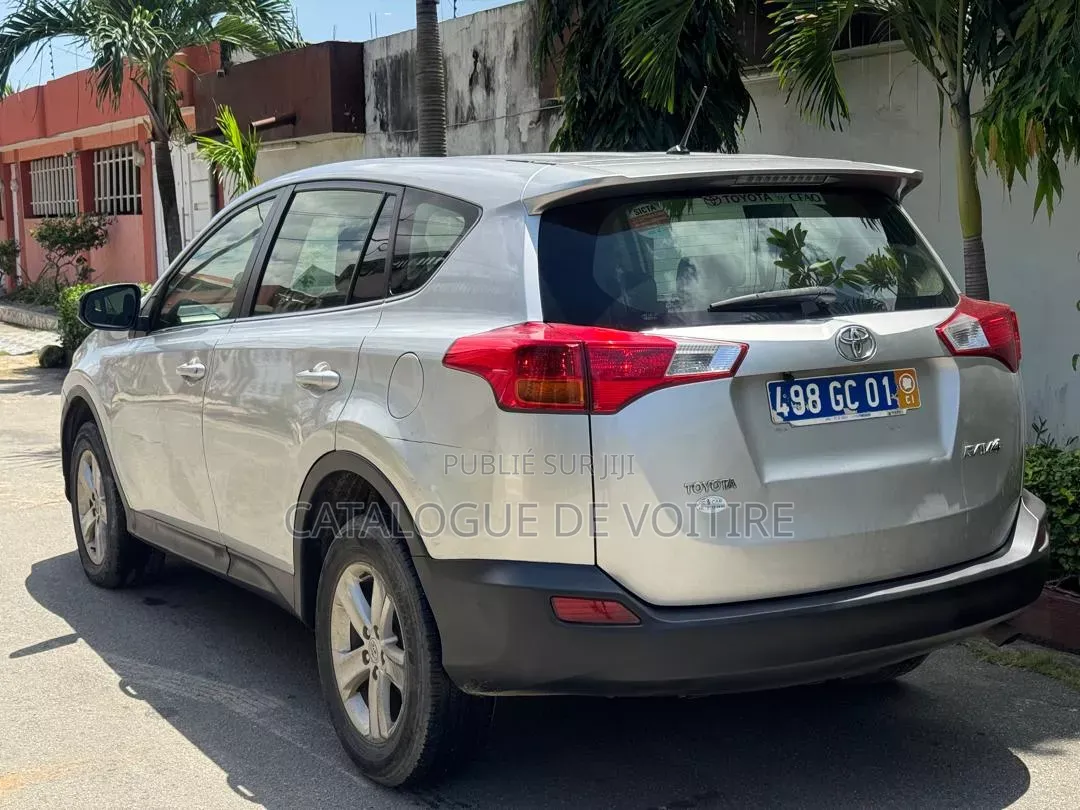 Toyota RAV4 2013 Gris