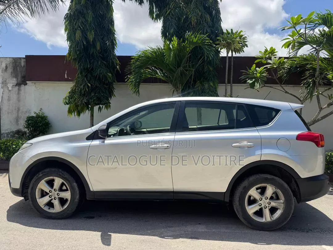 Toyota RAV4 2013 Gris