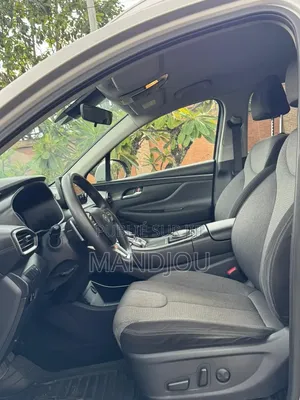 Hyundai Santa Fe 2022 Gris
