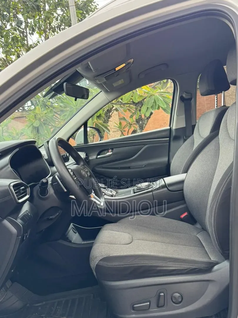 Hyundai Santa Fe 2022 Gris