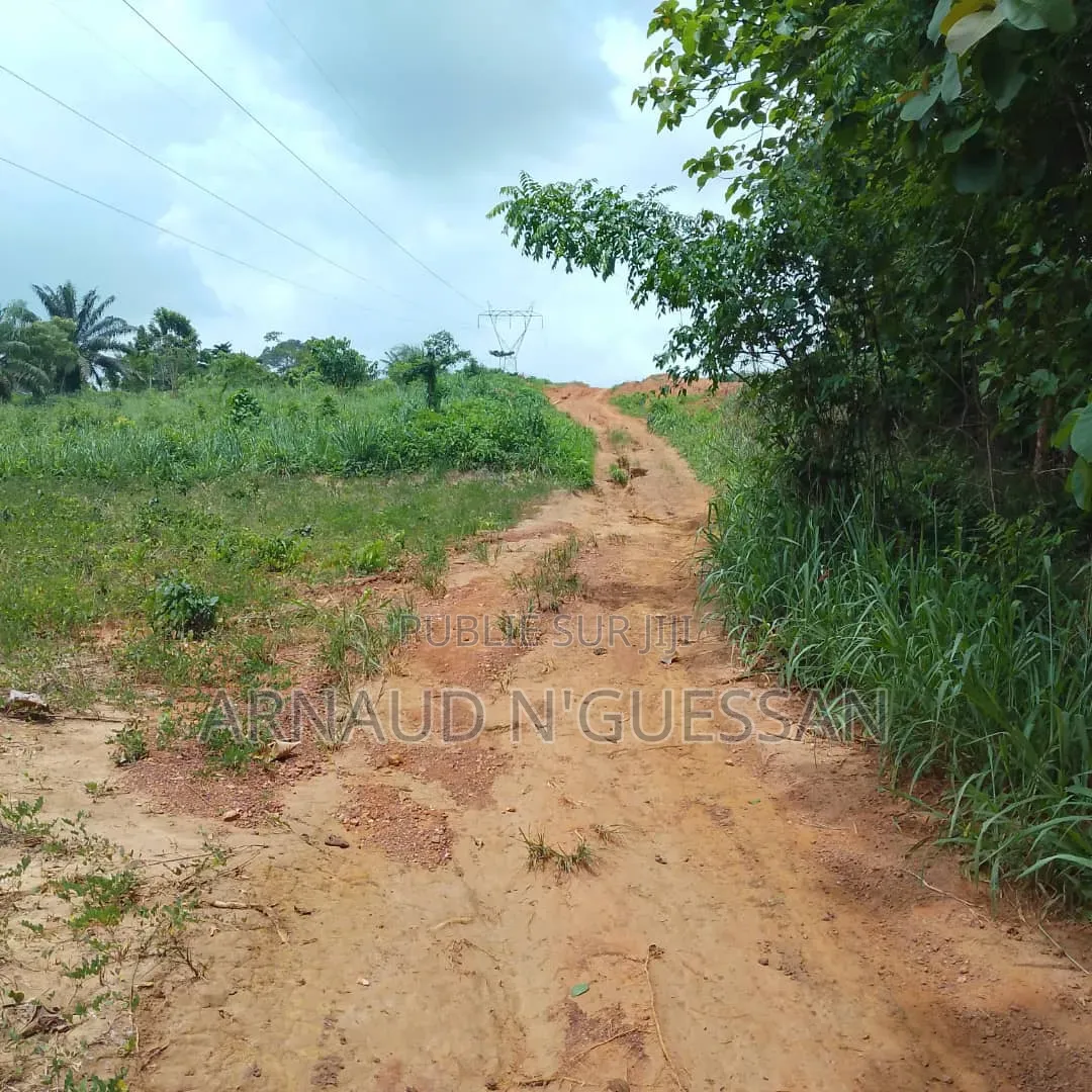 Terrain De 15 Lots