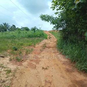 Terrain De 15 Lots