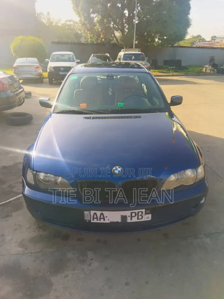 BMW 3 Series 2005 Bleu