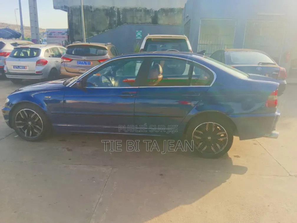 BMW 3 Series 2005 Bleu
