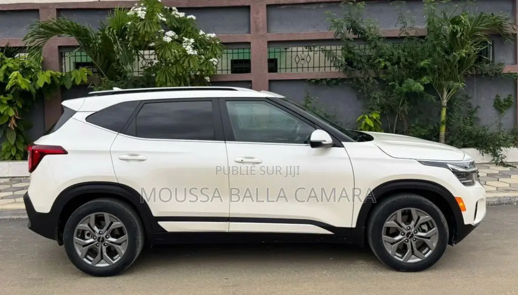 Kia Seltos EX IVT AWD 2025 Blanc