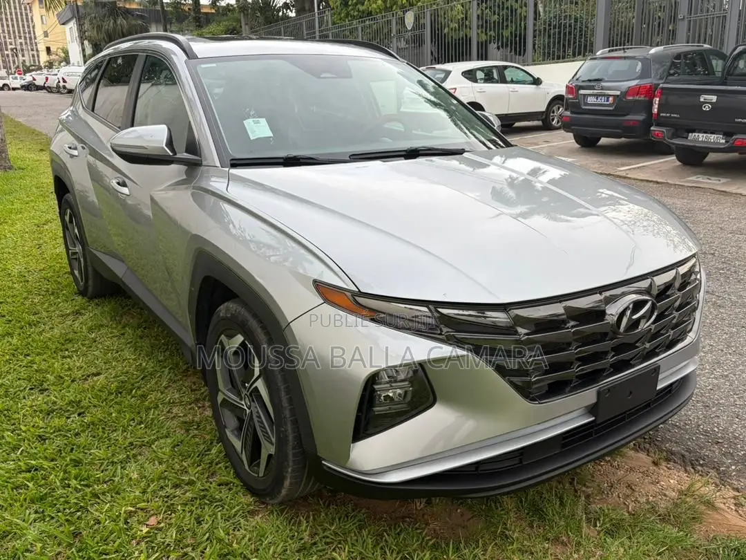 Hyundai Tucson Limited 2023 Gris