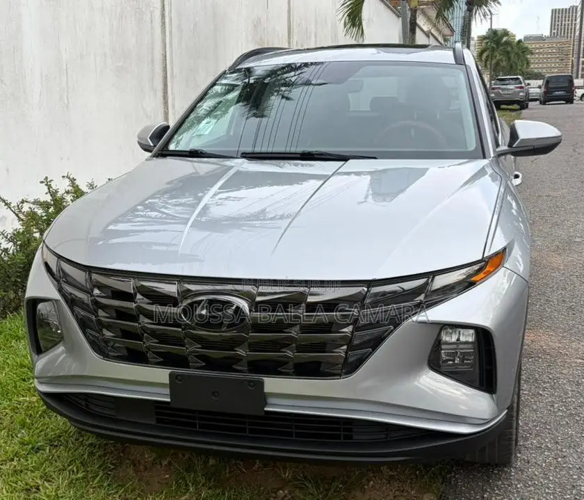Hyundai Tucson Limited 2023 Gris