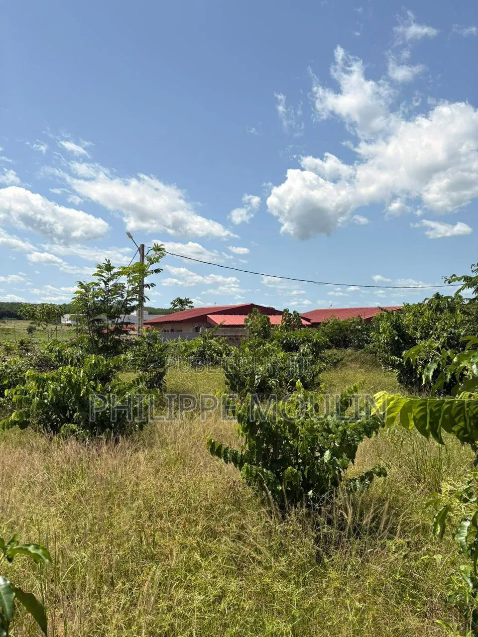 Terrain a Vendre a Bonoua