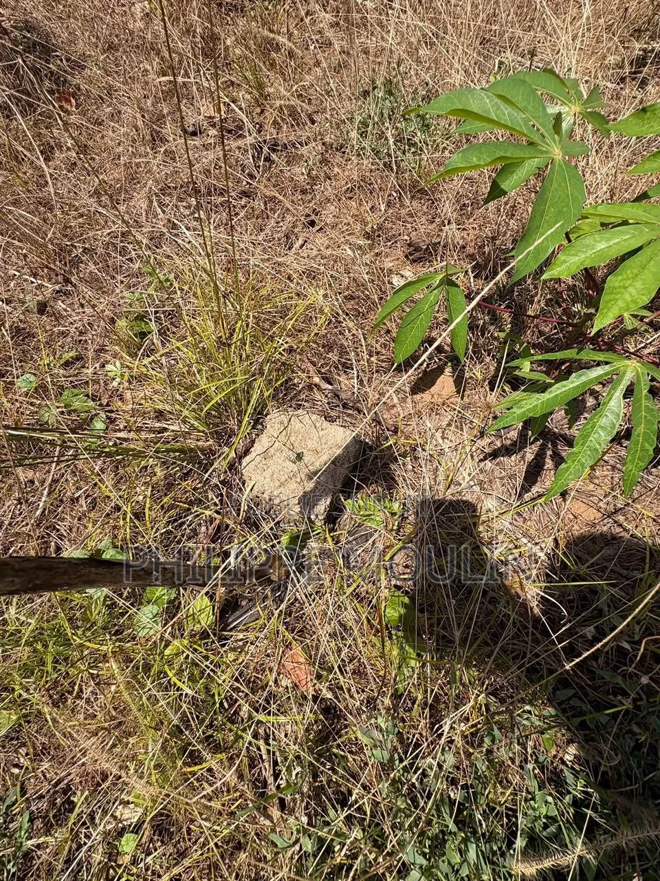 Terrain a Vendre a Bonoua