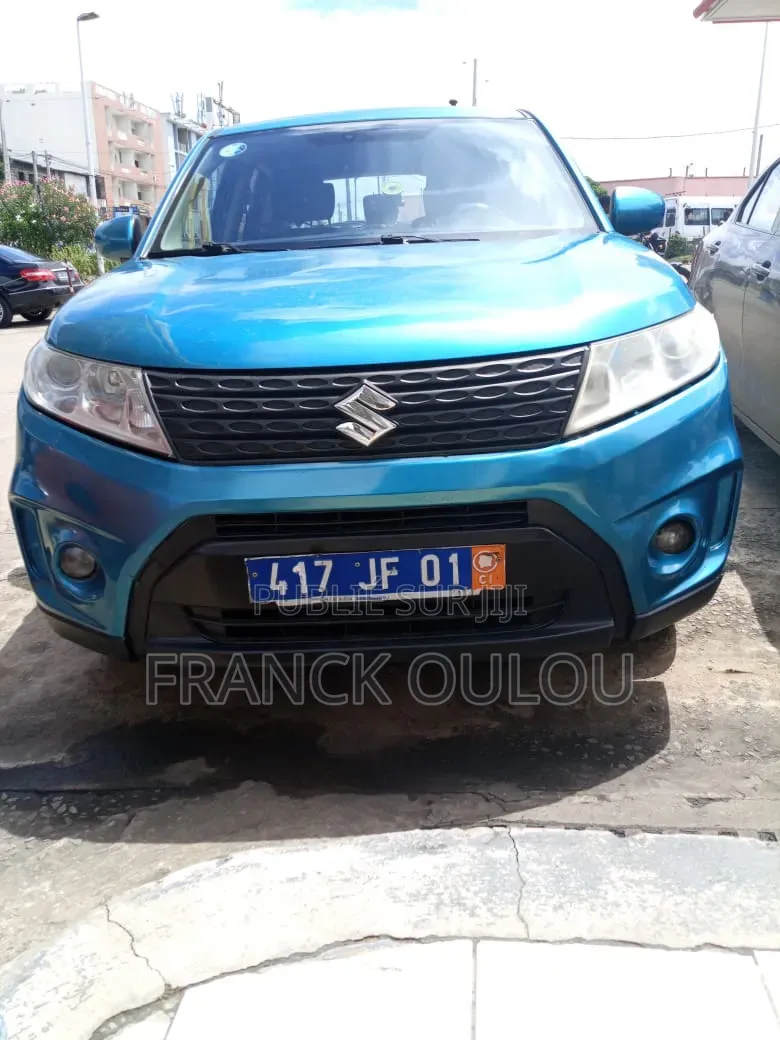 Suzuki Vitara 2019 Vert