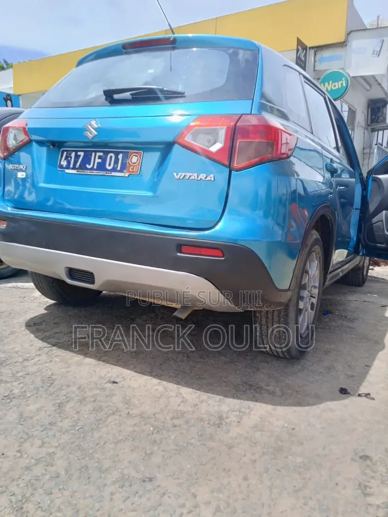 Suzuki Vitara 2019 Vert
