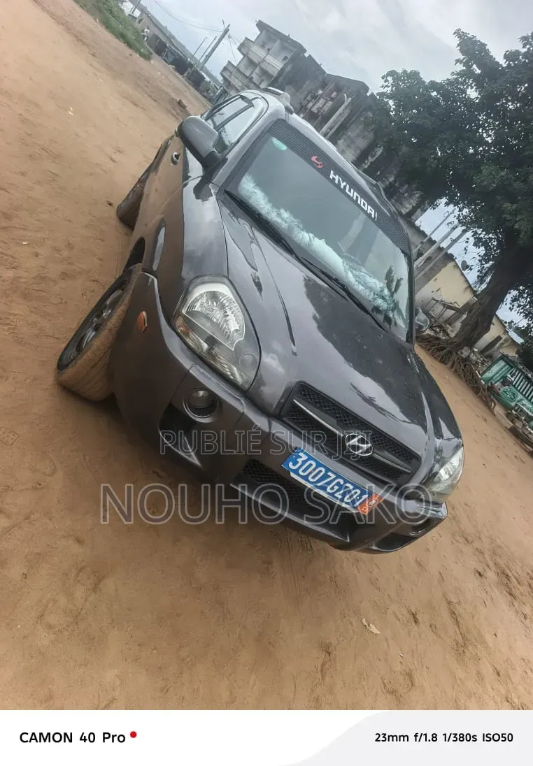 Hyundai Tucson 2006 Gris