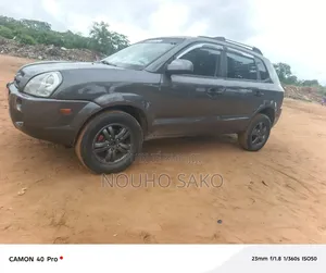Hyundai Tucson 2006 Gris