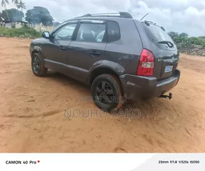 Hyundai Tucson 2006 Gris