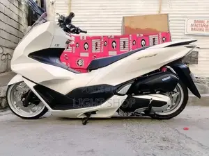 Nouveau Arche Vector 2026 Blanc