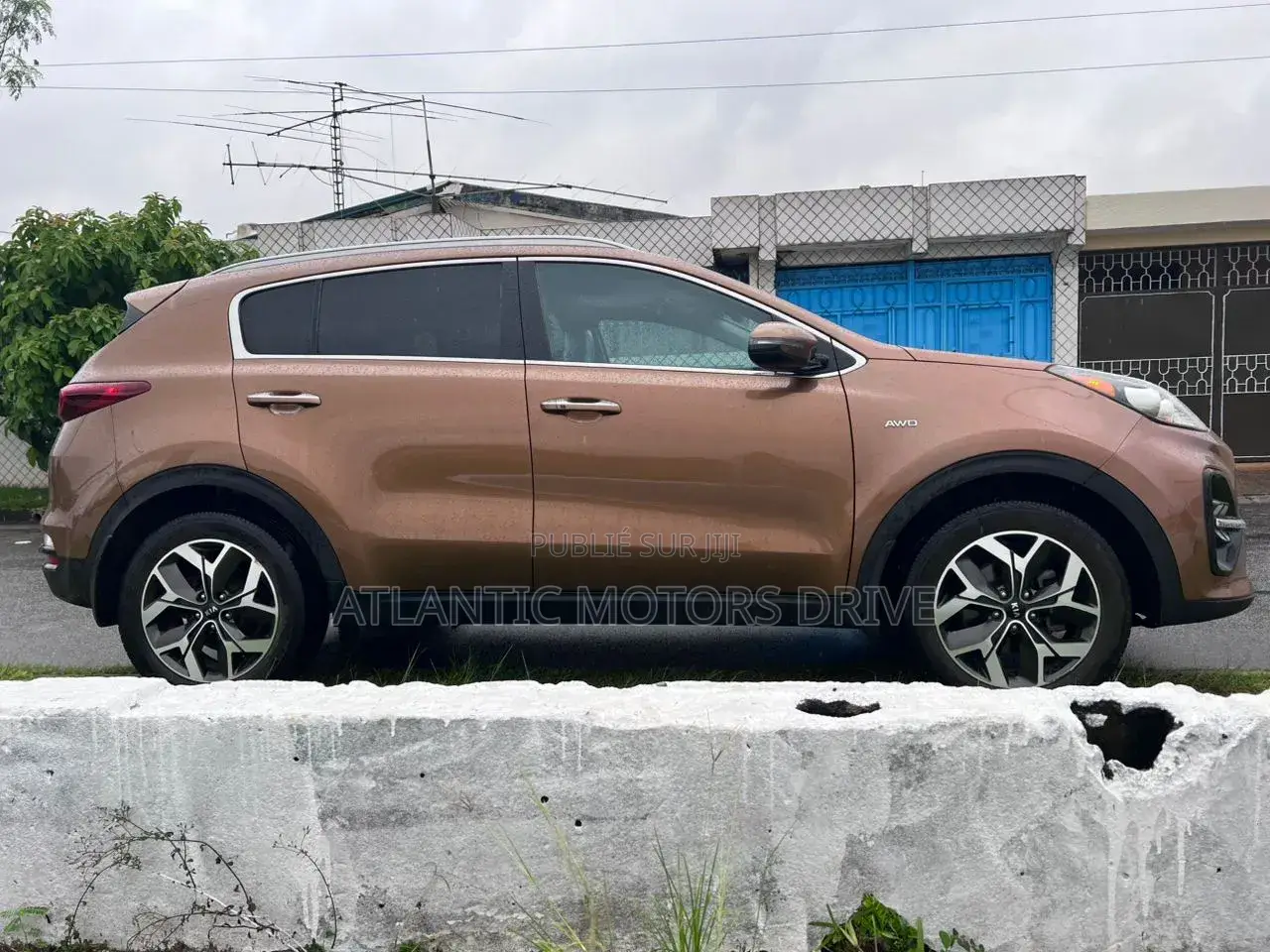 Kia Sportage EX 2021 Marron