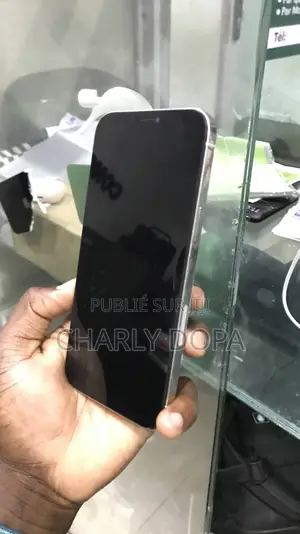 Apple iPhone 12 Pro Max 128 GB Blanc