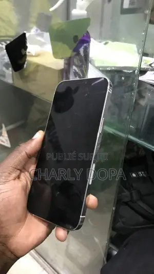 Apple iPhone 12 Pro Max 256 GB Blanc